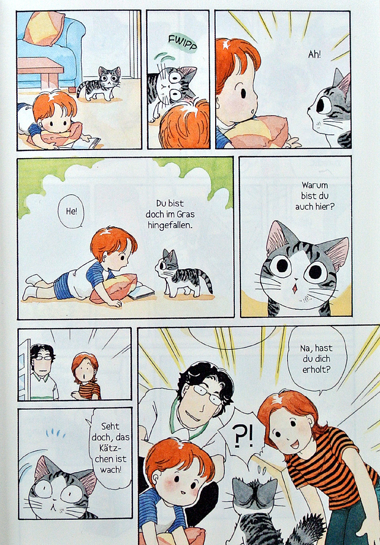 Kleine Katze Chi-Leseprobe