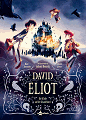 Link zur David Eliot-Seite