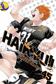 Link zur Haikyu!!-Seite