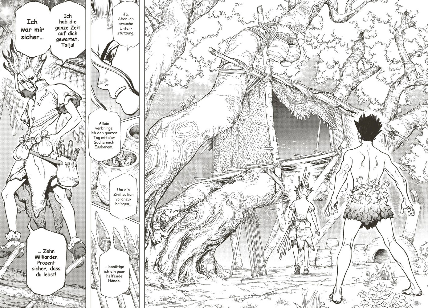 Dr. Stone