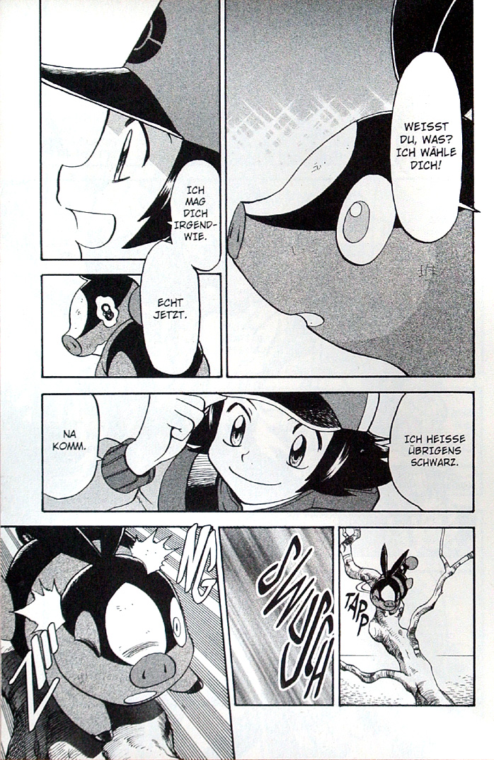 Pokmon Schwarz und Weiss-Leseprobe