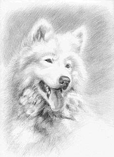 image035 (9K)