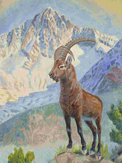 Wandbild Steinbock (33K)