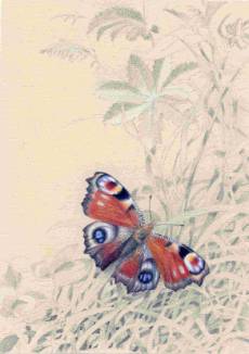 image003 (11K)