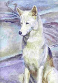 image023 (11K)
