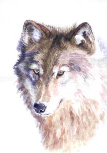 image045 (11K)