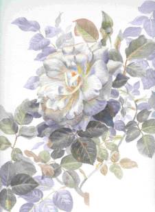 image047 (9K)